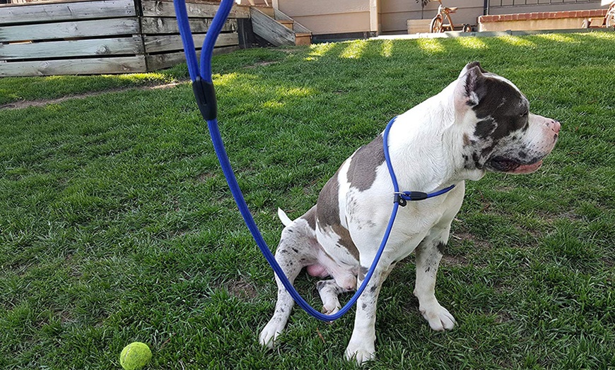 Image 7: Dog Training Correction Leash
