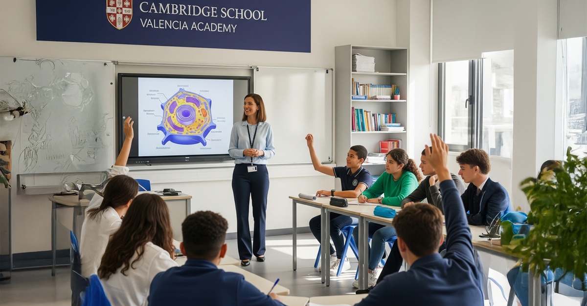 Clases de inglés o refuerzo escolar para una persona en Valencia