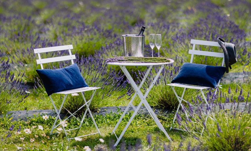 Image 19: Discover Beautiful Lavender Fields & Afternoon Tea at Finchingfield Camping with Up to 33% Off!