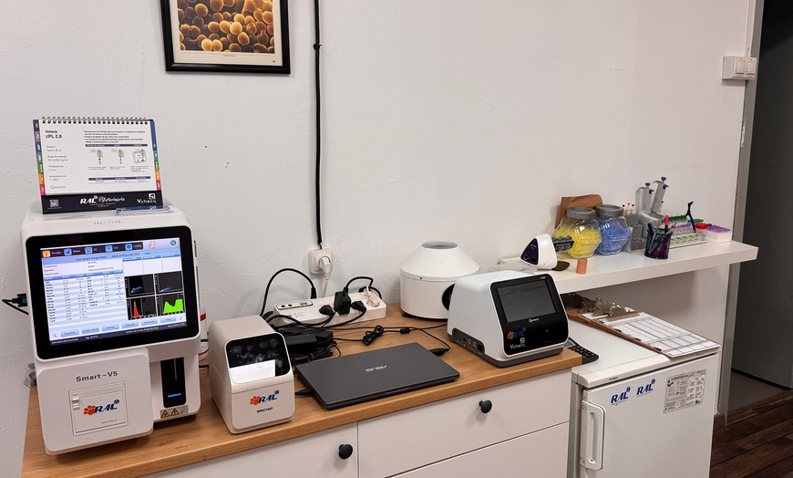 Image 3: ¡Cuida a tu mascota! Esterilización para perro macho, gato o gata 