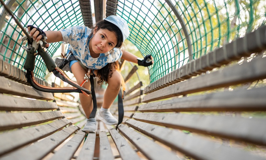 Image 8: Iconic Ziplines, Treetop Circuits & Outdoor Fun for All Ages