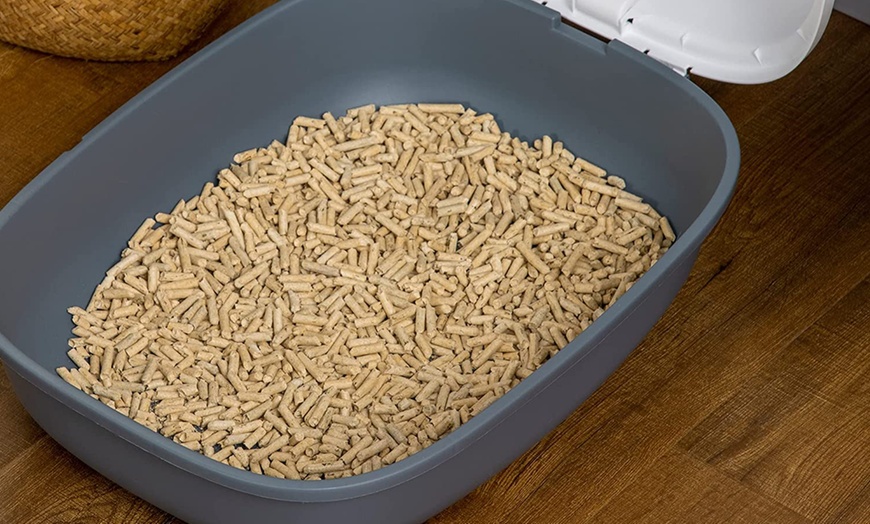 Image 3: PawHut Foldable Cat Litter Tray with Lid