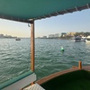 Image 3: Explore Abu Dhabi in 1, 2, 3, or 4 Hour Tours for Up to 12 Guests