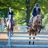 Image 1: Intro Horseback Riding Lessons with One or Two 30-Minute Sessions