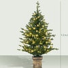 Image 6: HOMCOM 4ft Artificial Christmas Trees with Lights