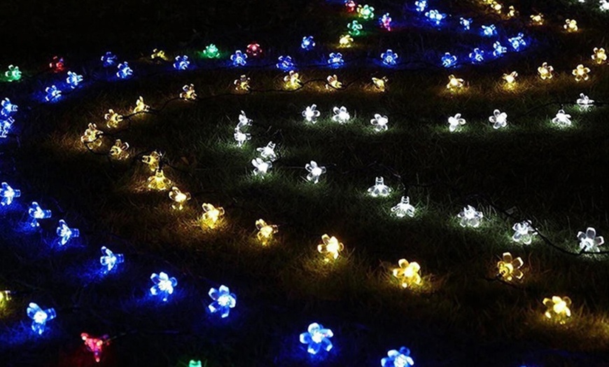 Image 7: 50 LED Multi-Coloured Solar Cherry Blossom Lights Options