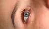 Beautiful Lashes with Lash Lift Treatment or Lash Lift with Tint at Sunny Skin Esthetics- Up to 30% Off