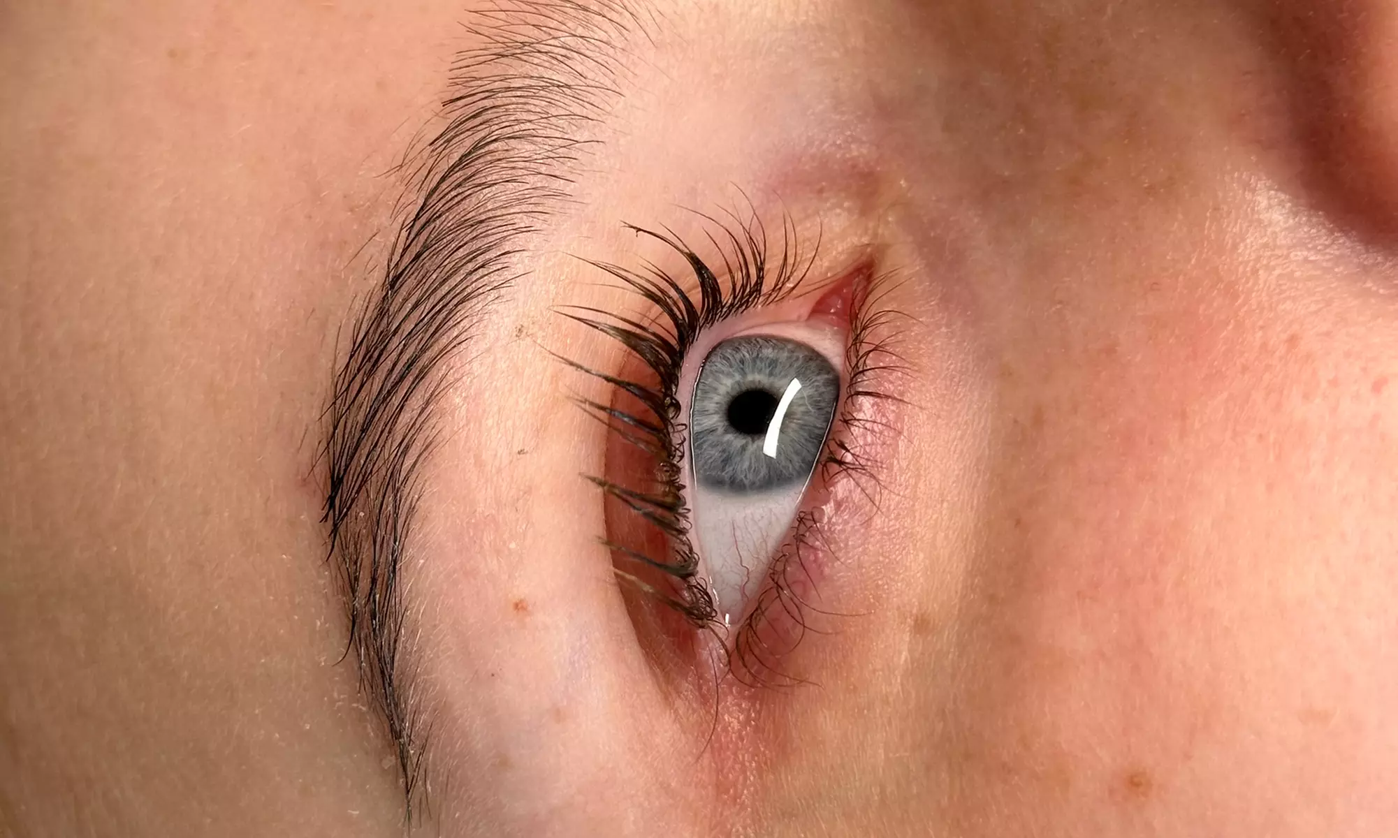 Beautiful Lashes with Lash Lift Treatment or Lash Lift with Tint