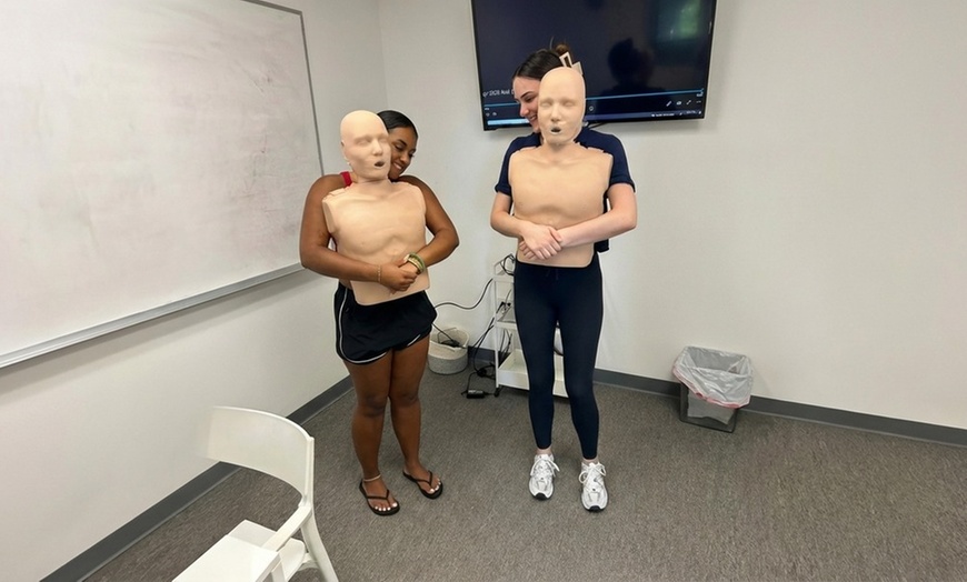 Image 3: One CPR/ One Adult or Child First Aid, CPR, & AED Certification Class
