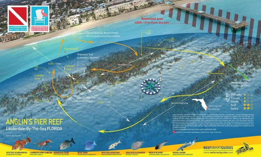 Image 10: Guided Snorkeling Adventure in Fort Lauderdale’s Crystal-Clear Waters
