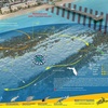 Image 10: Guided Snorkeling Adventure in Fort Lauderdale’s Crystal-Clear Waters