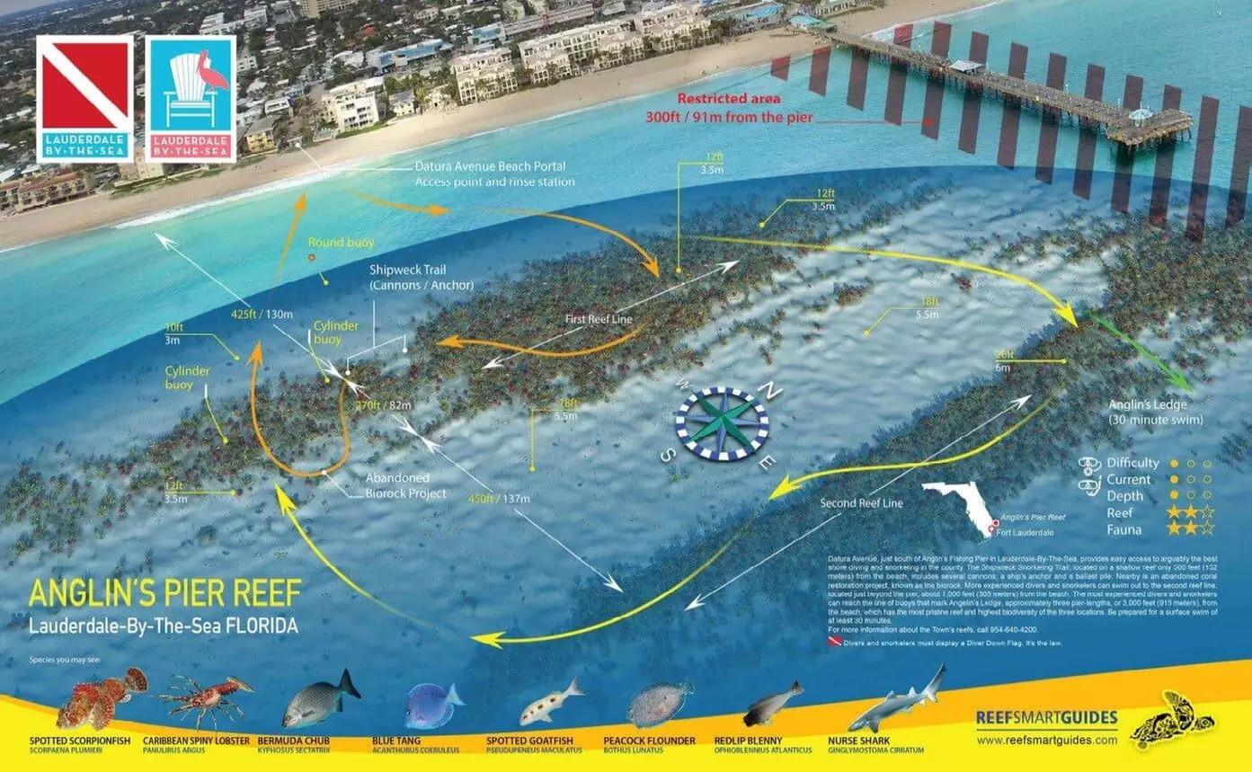 Guided Snorkeling Adventure in Fort Lauderdale’s Crystal-Clear Waters