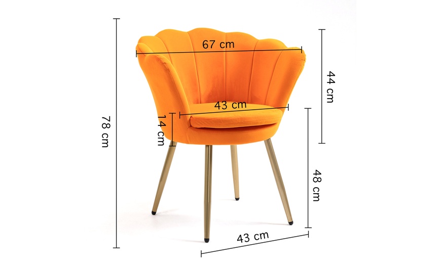 Image 41: Fluwelen schelp fauteuil