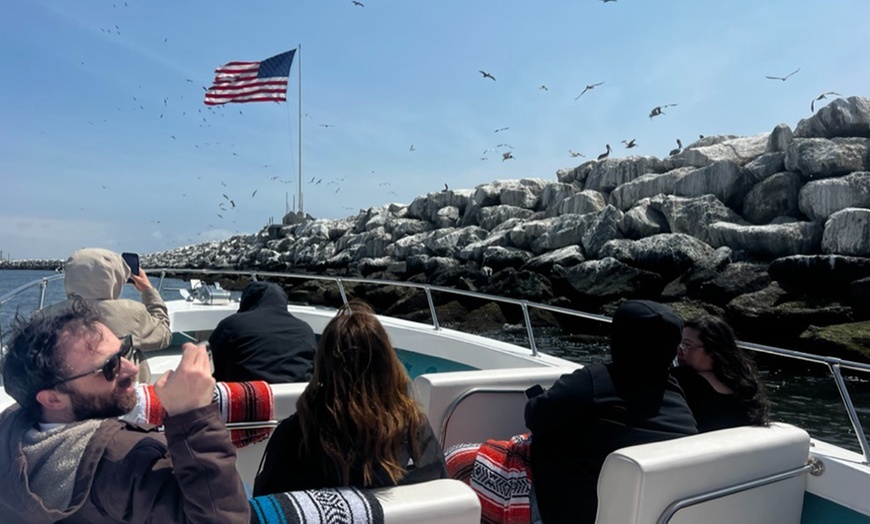 Image 9: Discover Marine Wonders on a Fast-paced Sea Safari