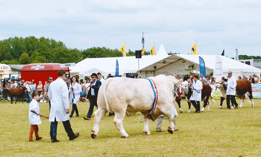 Image 9: Royal Cheshire County Show | Cheshire | 17-18 June 2025