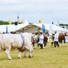 Image 9: Royal Cheshire County Show | Cheshire | 17-18 June 2025