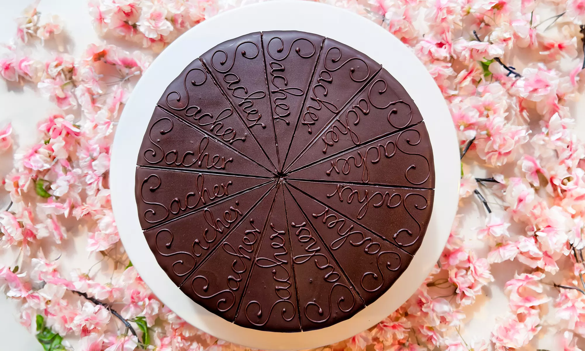 Hausgemachte Torte & Heißgetränk für 1 - 8 Personen