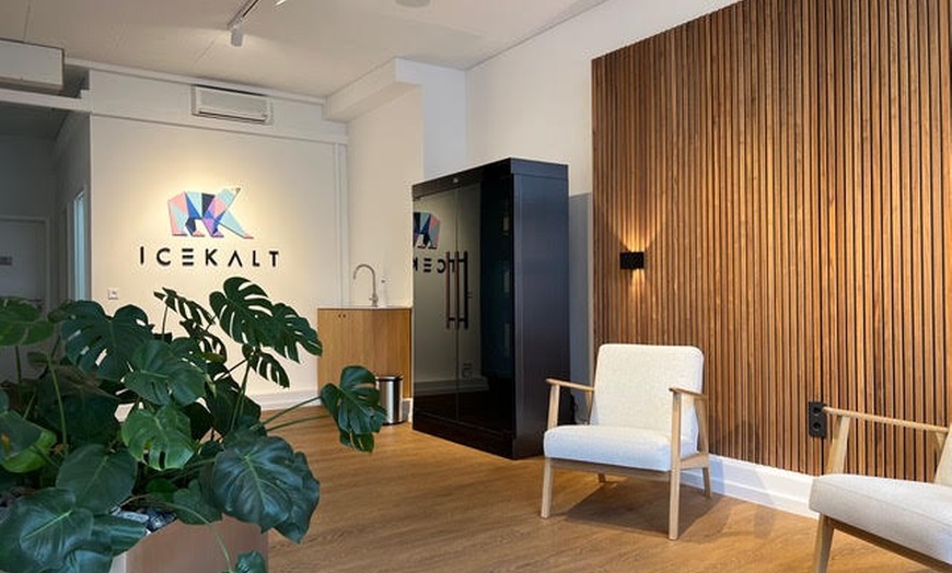 Image 1: 1 oder 2 Kältekammer-Anwendungen