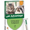 Image 3: Antiparassitario Spot-on per gatti e conigli Advantage