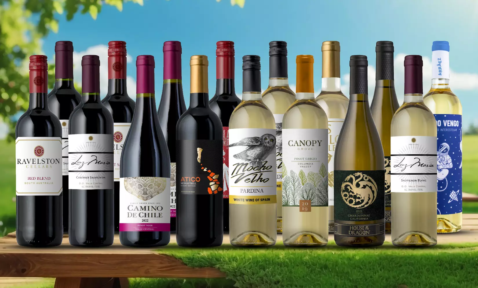 Mother's Day Wine Gift: 16 Bottle Spring Variety Pack 83% Off