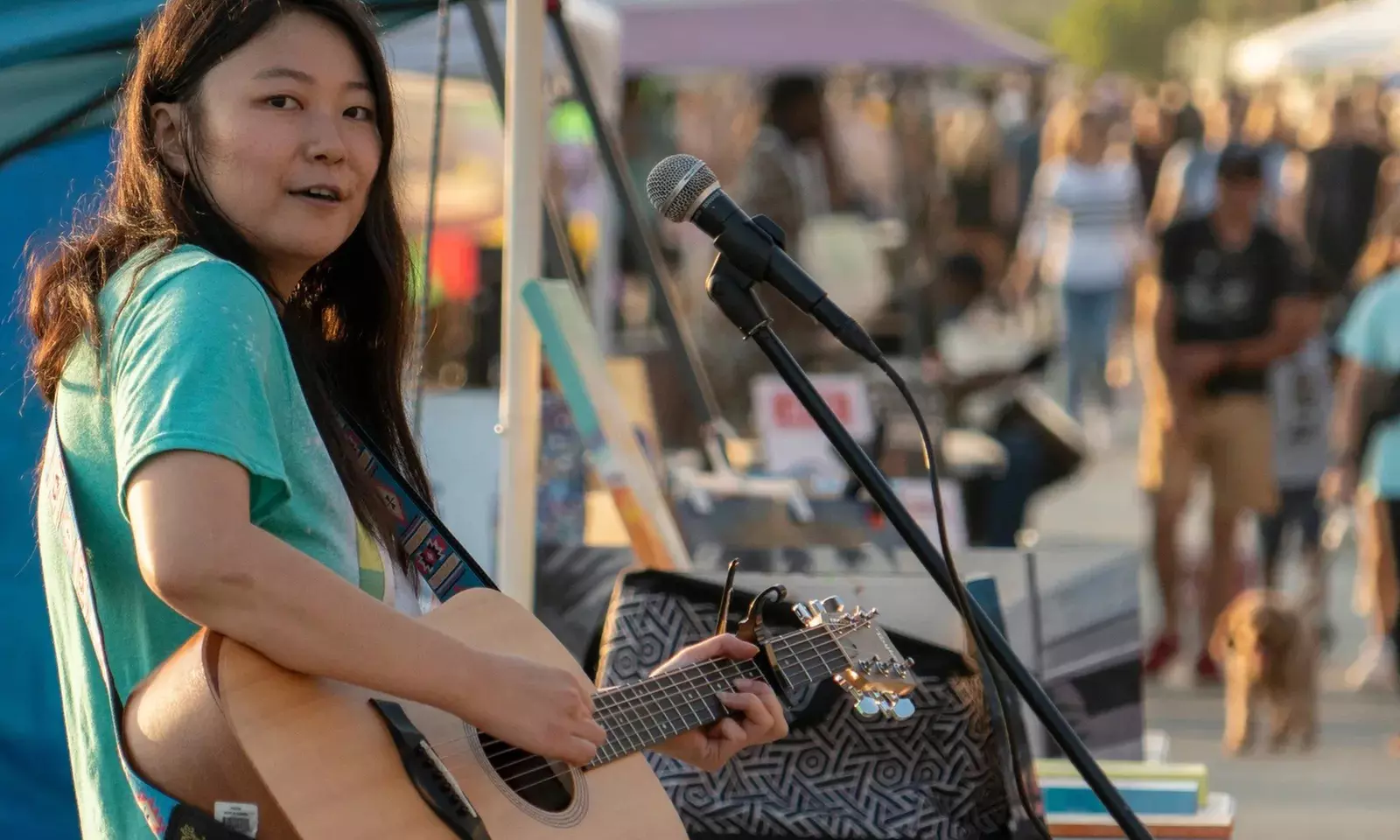 Up to 50% Off on Live Musician / Band For Hire at Nicki Sage Music