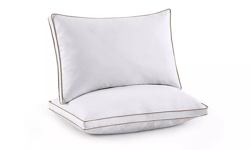 Peace Nest 2 Pack Quilted Goose Feather Down Pillow with Cotton Fabric
