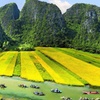 Image 9: 13-Day Vietnam Adventure: Stay, Cruise, Flights, Meals & Halong Tours!