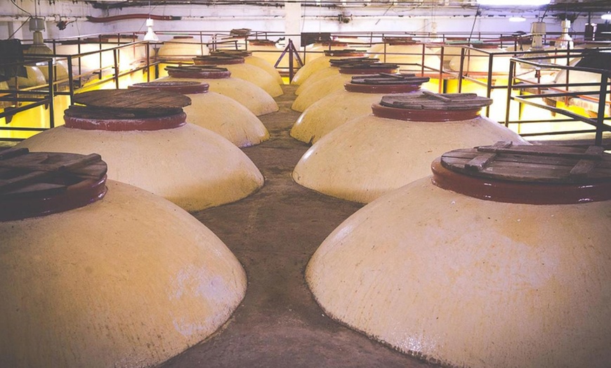 Image 9: Visita a bodega con cata de 3 vinos y aperitivos para hasta 6 personas
