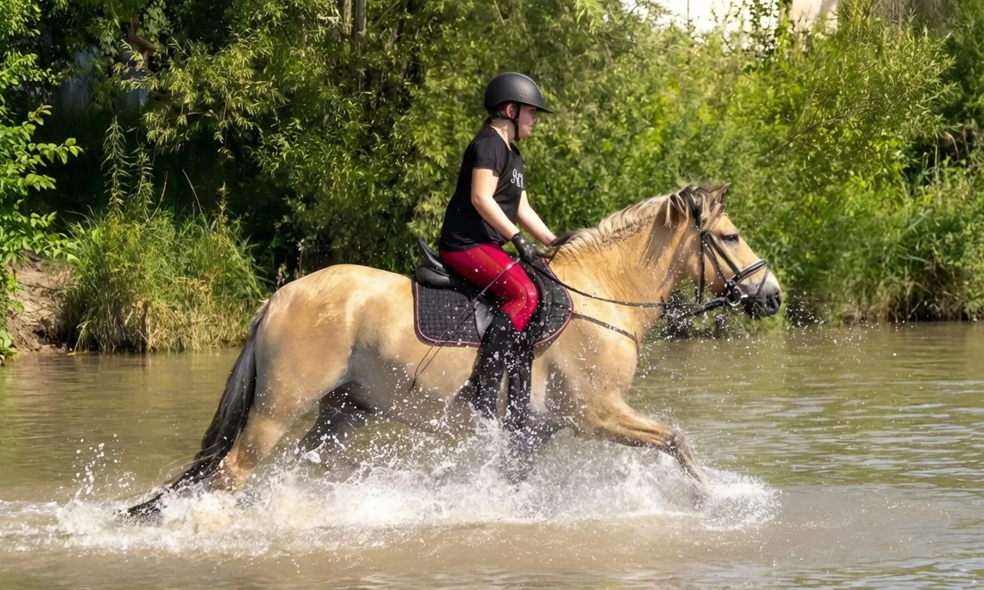 Avontuurlijk paardrijden met bosrit of waterrit incl. begeleiding