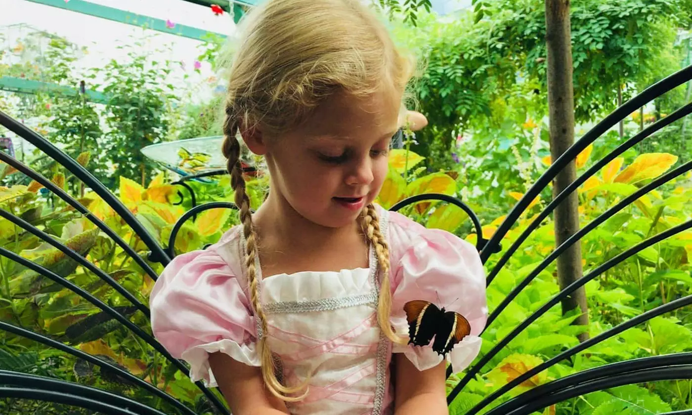 Butterfly & Bug Zoo Admission – Traverse City