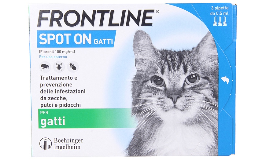 Image 1: Fino a 12 pipette insetticide e acaricide Frontline Spot On gatti