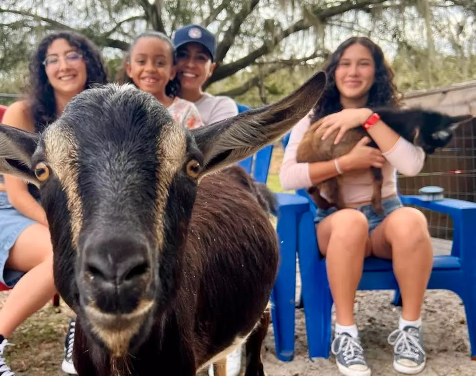 Hands-On Animal Encounters Polk City