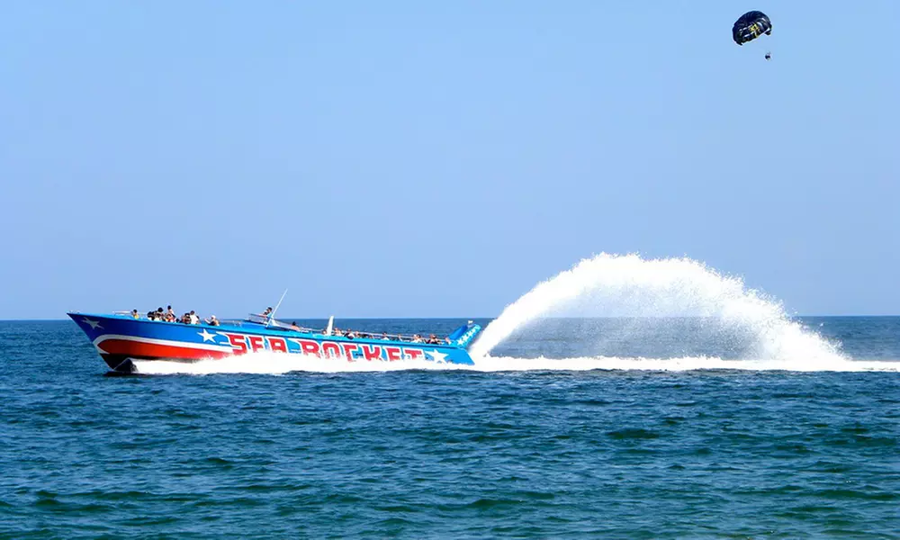 Dolphins, Speed & Sunsets—Cruises for All Ages!