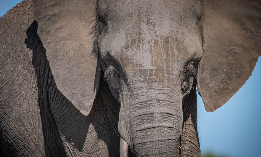 Image 55: Zimbabwe: 7-Night Yoga & Safari Retreat