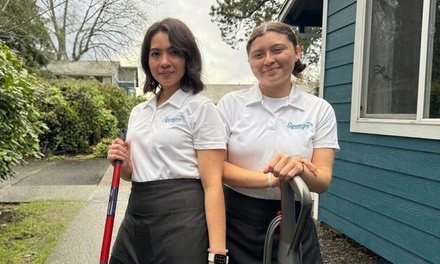 Carpet Cleaning up to 900 Square Feet - Squeegee Maids