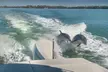 80-Minute Private BYOB Sunset & Dolphin Cruise or Island Tour for Up to 3 or 6 People - Second Medium