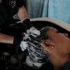 Image 3: One or Two Hour Premium Head Spa for One or Couples + Facial Options