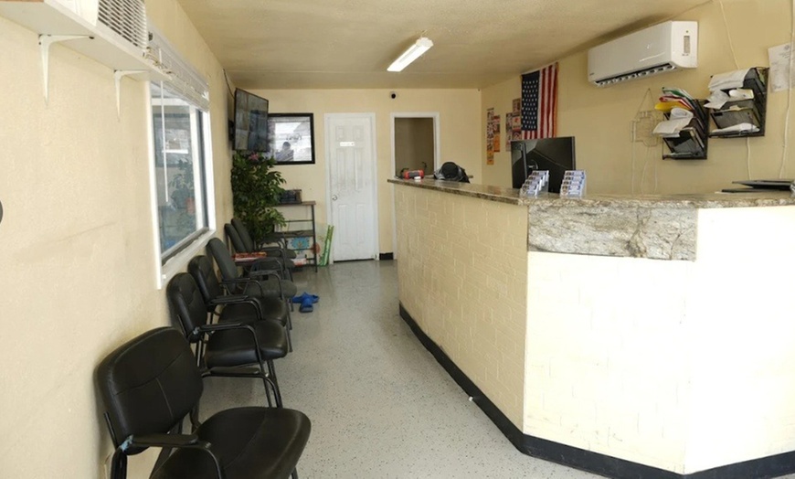 Image 3: Synthetic or Full Synthetic Blend Oil Change with 40-Minute MPI