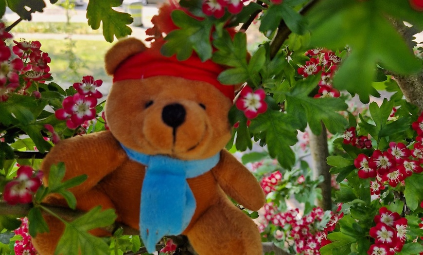 Image 6: Unforgettable Paddington Activity Play Time-Meet Paddington in person!