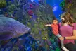 Explore Undersea Wonders: Tickets to Aquarium at the Boardwalk - Branson - Second Medium