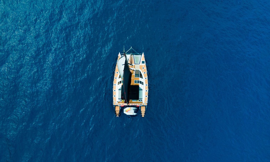 Image 10: Avistamiento de ballenas y delfines en catamarán para adultos y niños