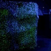 Image 3: Up to 51% Off Indoor Laser Tag Missions at Team Tactics