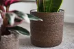 Three Pack Seagrass Planter Basket - Image 4