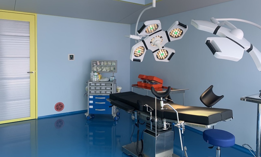 Image 2: Hasta 3 sesiones de fisioterapia con termografía y terapia manual