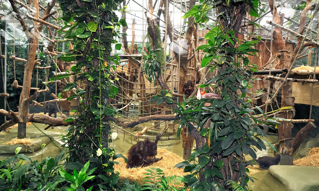 Im Zoo sind die Dinos los! Tageskarte Kölner Zoo & Aquarium