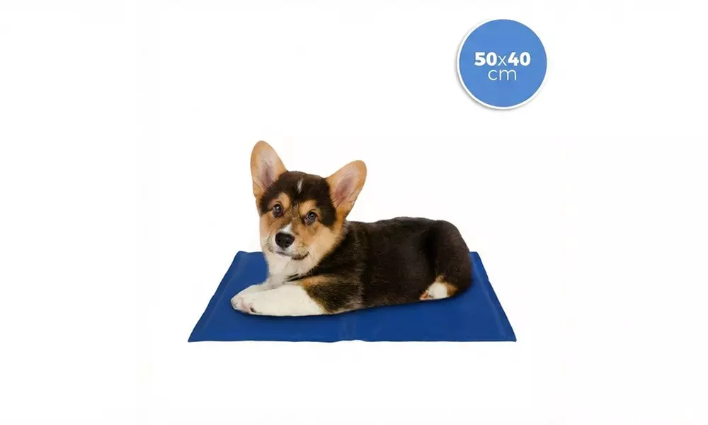 Tapis rafraîchissant pour chiens