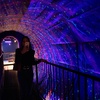 Image 10: World of Illusion Dublin Tickets for Adults and Children!
