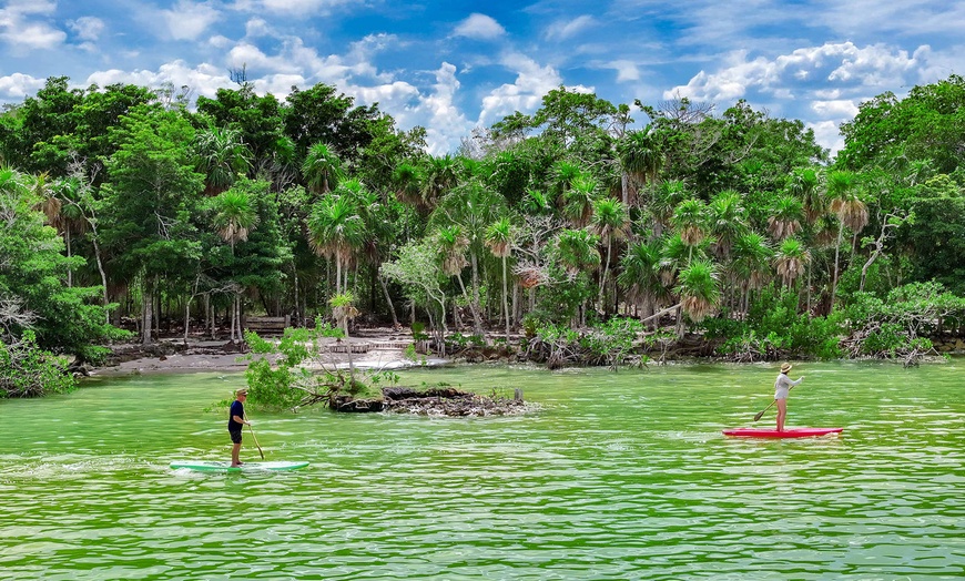 Image 19: All-Inclusive Resort with Private Marine Sanctuary Near Mayan Ruins
