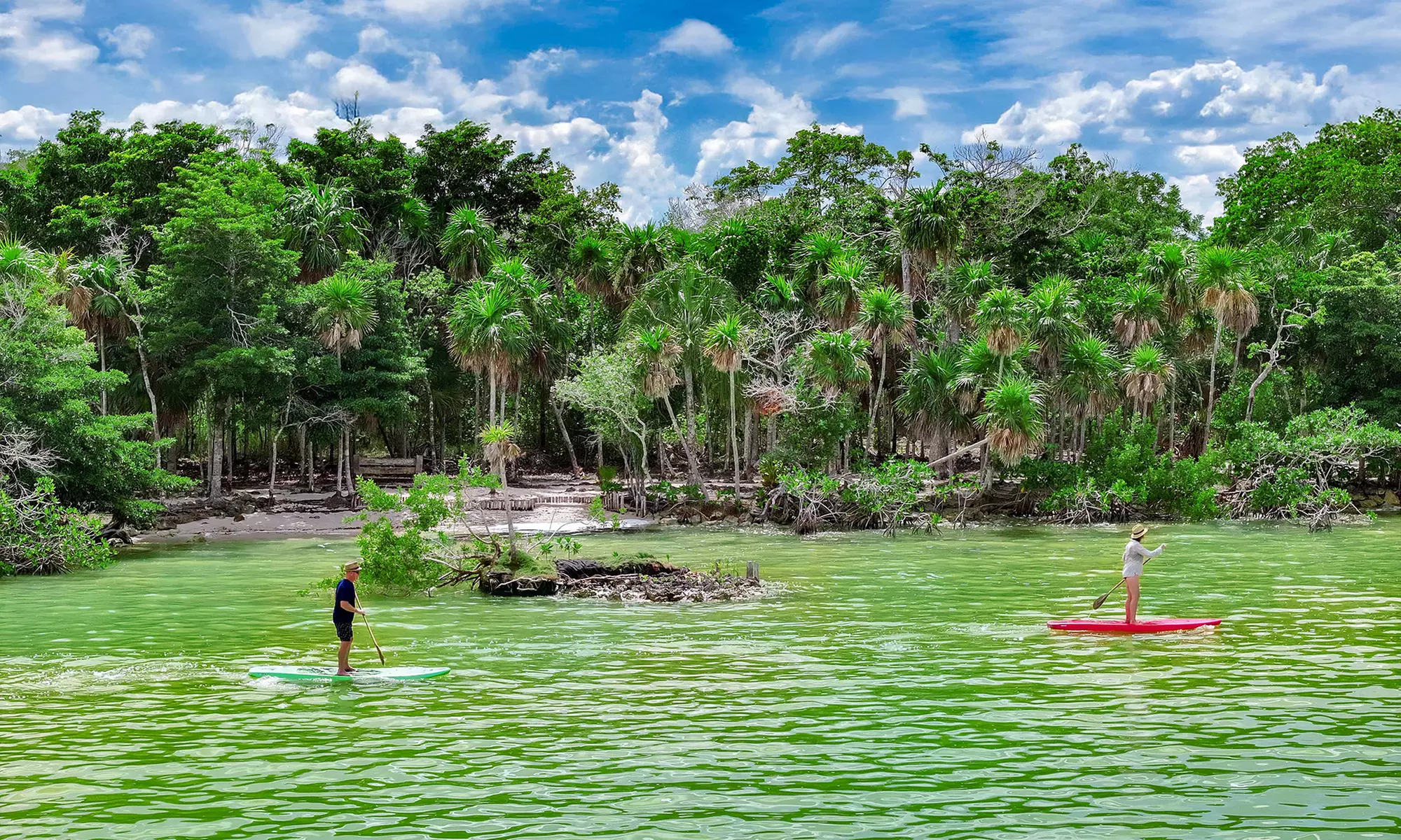 All-Inclusive Resort with Private Marine Sanctuary Near Mayan Ruins