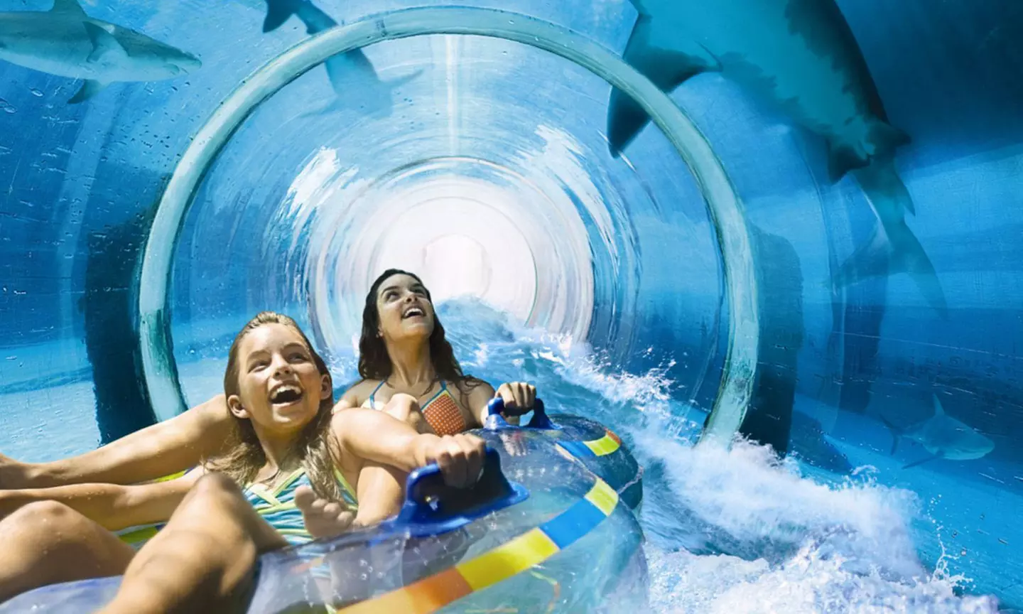 Pass Explorer Dubai & Abu Dhabi : 3, 5 ou 7 activités au choix